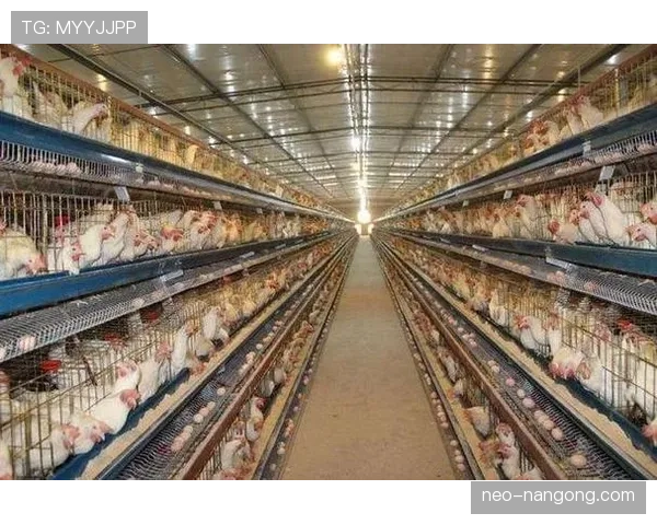 张志磊打完比赛直接去超市抢打折鸡蛋？